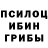 Галлюциногенные грибы Magic Shrooms 3d _hlopchik